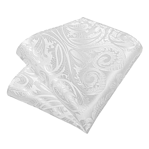 Dibangu Classic White Paisley Ties For Men,Silk Necktie Handkerchief Cufflinks Tie Clip Set Party Wedding Tie #TOP6