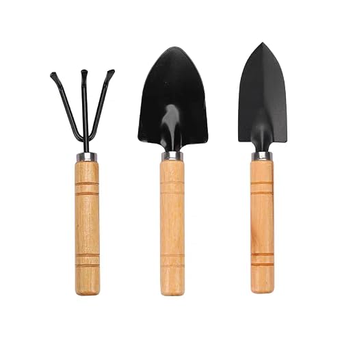 Mini Gardening Tool Set - 3PCS Hand Shovel, Rake, Spade with Wooden Handle - Small Planting Weeding Kit for Indoor Succulents, Cactus, Herbs, DIY Terrarium - Cute Garden Tools for Kids & Adults