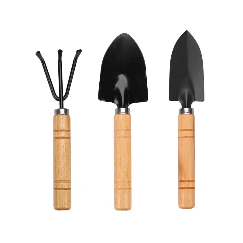 Set Mini Jardinería 3 Piezas Herramientas para Suculentas miniatura 1
