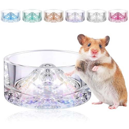 nX^[  u^ EH[^[{E  ݊ KX NA xmR` ^ybg aM 芴 ]|h~`  CR nX^[ nlY~p (F)