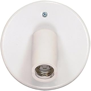 Satco SF77/601 Spot One Light Ceiling Swivel Fixture, White