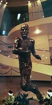 Hardcover A Taste For Heroes: The Official Pro Football Hall of Fame Festival Cookbook Book