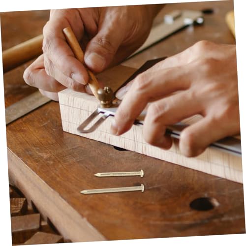 Image of 1set Assorted Nails Kit for Hanging Pictures Home Use Multi-Specification Wall Panel Hardware User-Friendly Tools for for Picture Frames Crafts