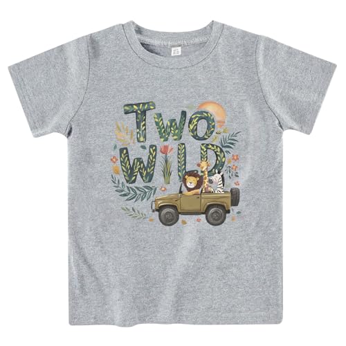 Image of Toddler Boys Girls 2nd Birthday Shirt Outfit for Kids Two Years Old Birthday Gift for Party Short Sleeve Tshirt