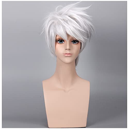 BERON Short Layered Cool Men Boys Tousled Wig Heat Resistant Synthetic Wigs for Anime Cosplay Party (Silver Grey)