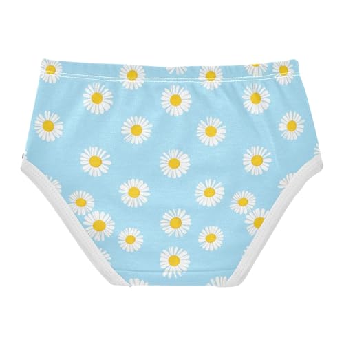 White Daisies Pastel Blue Girls Underwear Toddler 2t Cotton Panties Little Girl Designer Kids Briefs Undies2