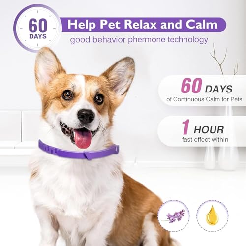Image of 3 Pack Dog Calming Pheromone Collar Set, Relieves Anxiety, Keeps Dog Quiet, Foldable Collar, Adjustable for Small, Medium Large Dog