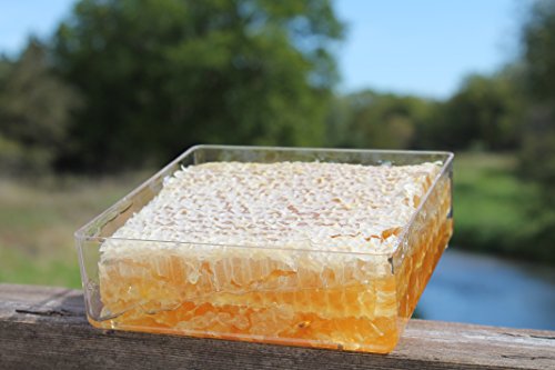 Raw Comb Honey Pure Natural Nebraska Honey (One) 1Lb (16Oz) Cut Comb #TOP3