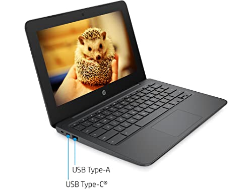 Hp 2022 Chromebook 11.6" Hd For Business And Student Laptop, Intel Celeron N3350 Processor, 4Gb Ram, 160Gb Storage( 32Gb Emmc+128Gb Microsd), Intel Hd Graphics, Hd Webcam, Gray, Chrome Os #TOP1