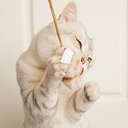 Gigwi Chirpy Cat Mouse Toy Interactive， Melody Chaser Cat Play Squeaking Mouse，Mouse Sound Cat Toy For Boredom #TOP5
