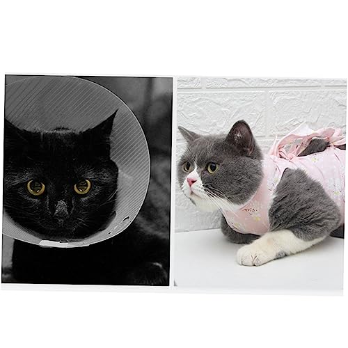 Vêtements de récupération après stérilisation pour le repos du chat - 4