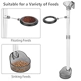 Zoom IMG-2 bssmmai ciotola per gamberetti con Zoom IMG-2 bssmmai ciotola per gamberetti con