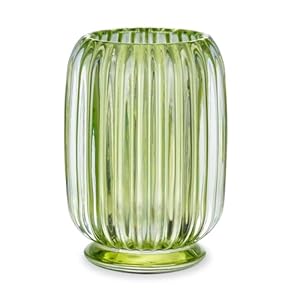 VanEnjoy Klarer grüner Glas Zahnbürstenhalter