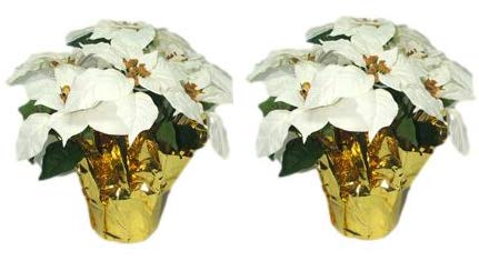Creative Displays Large Premier White Silk Poinsettia Plant Christmas Decorations, Amazingly Lifelike & Realistic, 17" x 15" (2 Pack)