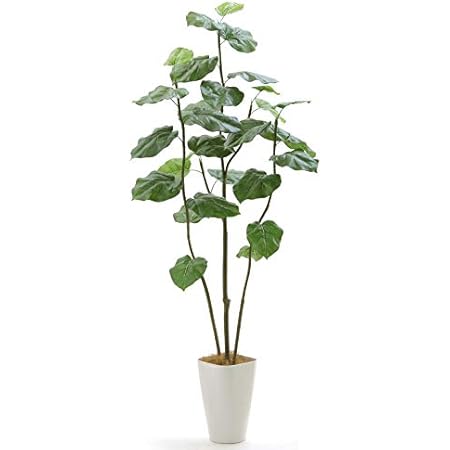 Amazon 光触媒 観葉植物 フェイクグリーン 造花 インテリア グリーン 人気 緑 初心者 空気清浄 おしゃれ 銀 大きめ 観葉樹 リアル フィカス ウンベラータ 3本立 高さ150 160cm スマートポット Chic8 ヤシの繊維 No9329m 人工観葉植物 オンライン通販