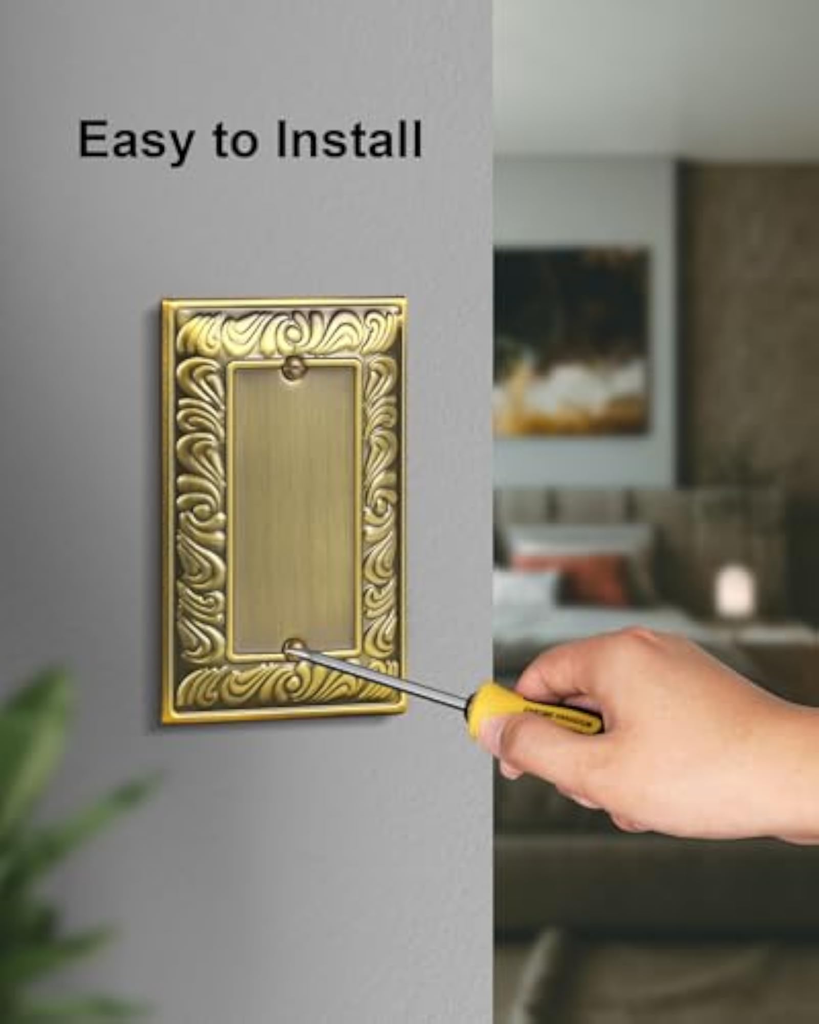 2-Pack Paisley Pattern Blank Outlet Cover Wall Plate