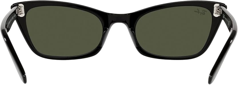 小物 Rayban Lady Burbank 55mm LADY BURBANK Sunglasses in Transparent Pink and Brown