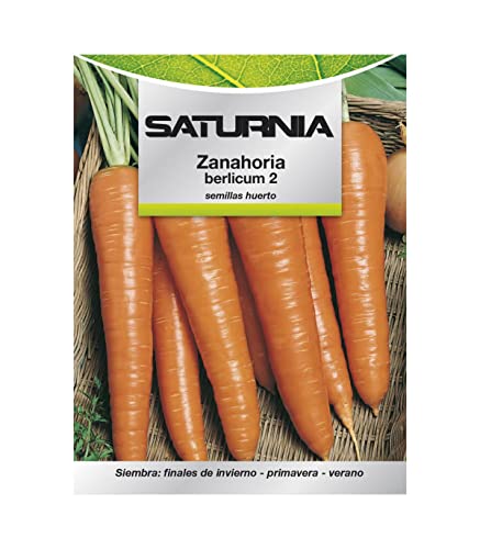 Semillas Huerto Zanahoria Berlicum