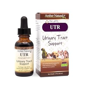 AMBER NATURALZ UTR Urinary Tract Herbal Supplement for Dogs, Cats, Birds, Guinea Pigs, and Rabbits | Pet Herbal Supplement for Bladder Support | 1 Fluid Ounce Glass Bottle | Manufactured in The USA
