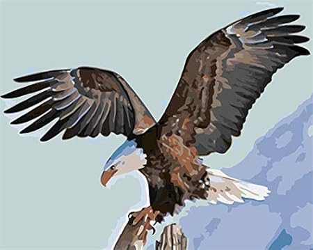 Amazon 油絵 数字キットによる絵画 動物のワシのデジタルキットの絵画 かわいい動物のdiyデジタル絵画 デジタルヨーロッパの抽象的な生活 フレームなし 刺しゅうキット 通販