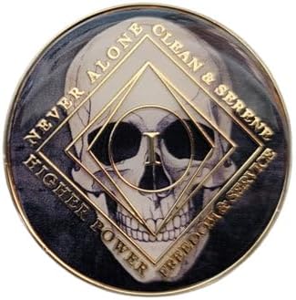 1 Year Skull Design NA Style Clean Time Chip Black Just for Today Medallion