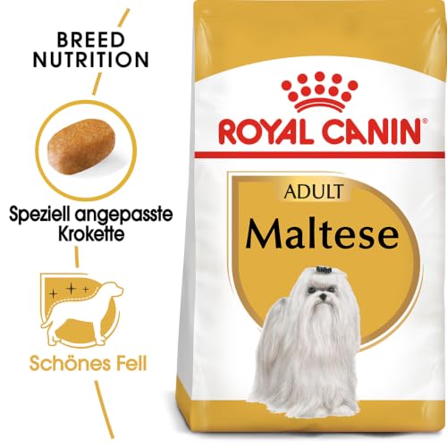 ROYAL CANIN Maltese Adult Hundetrockennahrung – 2 x 0.5 kg