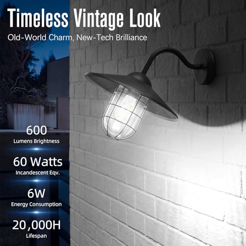 GvvooHome Edison Bulbs Dimmable, E26 LED Bulb 60 watt Equivalent, Cool White 4000K, ST58 Vintage Light Bulbs, 90+ CRI, 6W 600LM, E26 Medium Base, Clear Glass, 24 Pack by GvvooHome - Image 2