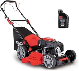 Scheppach Tondeuse à Gazon Thermique MS225-56 - Moteur 4 Temps 6 CV - 224 cm3 - Largeur de Coupe 56 cm - 2200 m² - bac 65L - Hauteur de Coupe 25-75 mm (avec Huile Moteur)