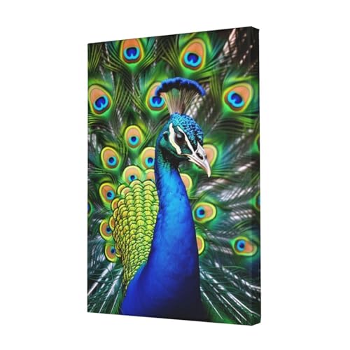 Toile paon bleu de qualité supérieure tableau d'art mural 30x45 cm