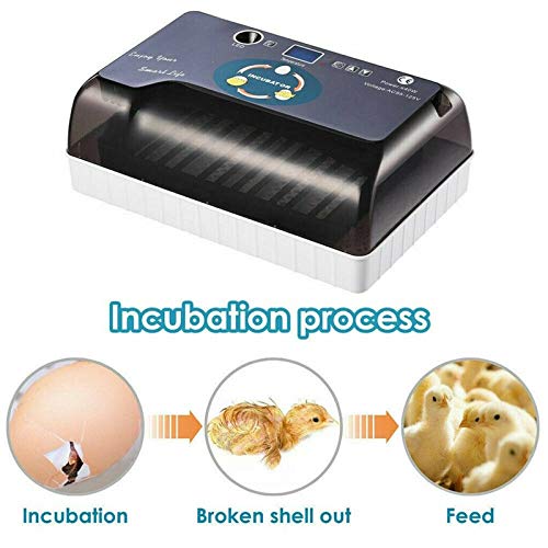 EUNEWR Professionelle LED Eier Inkubator Vollautomatisch Brutmaschine, mit Effizienter LED Beleuchtung Feuchtigkeitsfest… – Bild 3