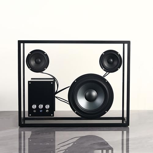 RKXKJ Großer Transparenter Kassettenlautsprecher, Tragbarer Minimalistischer Lautsprecher, Unterstützt Bluetooth-Wiedergabe, USB-Wiedergabe Und AUX-Wiedergabe, Wunderschöner Kristallklarer HD-Sound
