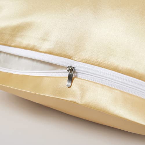 HommxJF Fronhas de cetim com zíper (51 x 91 cm), conjunto de 2 fronhas king size, fronha de seda dou