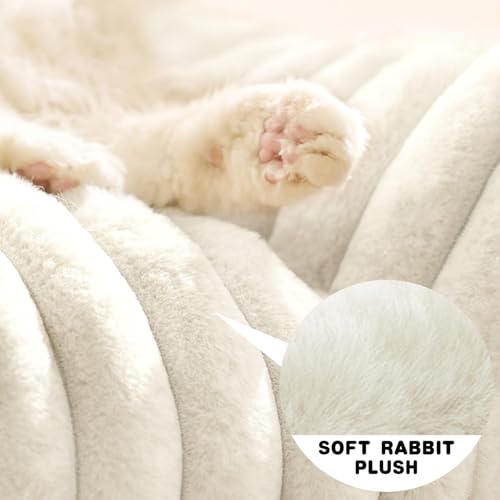 CAIEJSAEN Katzenbett Flauschig, Hundekorb Waschbar, Hundesofa Kleines Katzenkorb für Hunde und Katzen, Hundebett Weiß, 60x45x20cm
