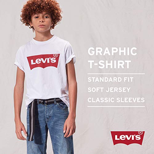 Levi's Little Boys' Classic Batwing T-Shirt, Allure, 7