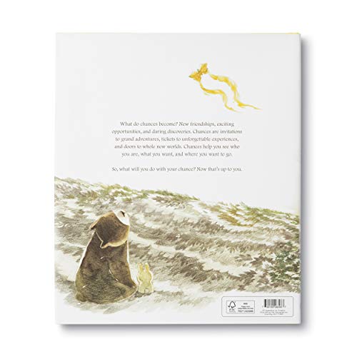 What Do You Do With a Chance? -- New York Times best seller - Image 2