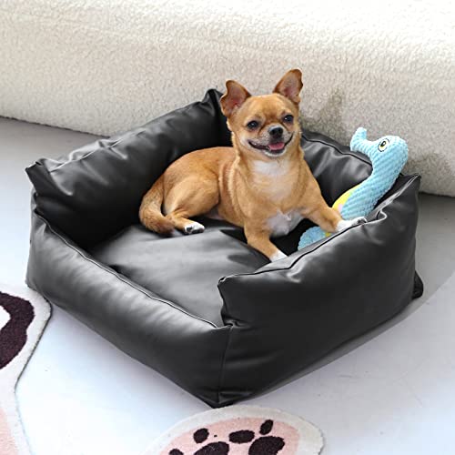 Best Color Sofa Dog Review & Buying Guides of 2023 DogNeedsThat