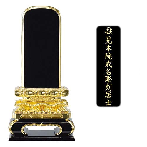 d͂₵ hʔv L O 5.0 y ㍞ (1앪) z yZbgi d͂₵IWiNXtz