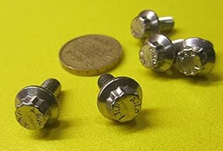 18-8 Stainless Steel 12 Point FT Bolts 1/4