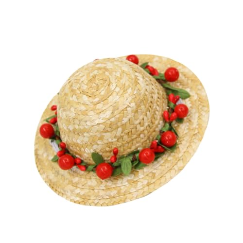 LOLIPPYY �ĈЈΕ��y�b�g���X �Ԃ��f�C�W�[���� ���^���p�X�g���[�҂ݖX�q �ʐ^�B�e�p���킢���ԏ��� �y�b�g�p��蕨