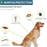 WONAVEHY B0F9WMNQCZ lato 4