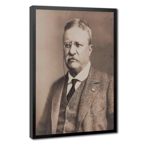 Poster Theodore Roosevelt portrait inspirant pour stimuler la productivité