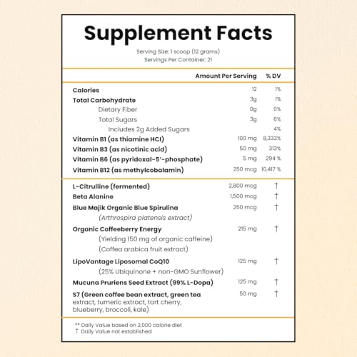 Image of CHOQ Chad Mode - Pre Workout Powder for Men & Women - Organic Energy Supplement with L-Citrulline, Beta Alanine & Green Coffee - Clean & Natural Pre Workout