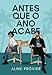 Antes que o Ano Acabe (Série Antes)