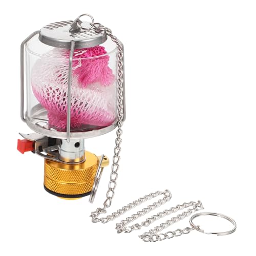 BRIGHTFUFU Vintage Style Small Gas Lantern Outdoor Emergency Lantern Portable Design for Camping Picnic Tent Illumination