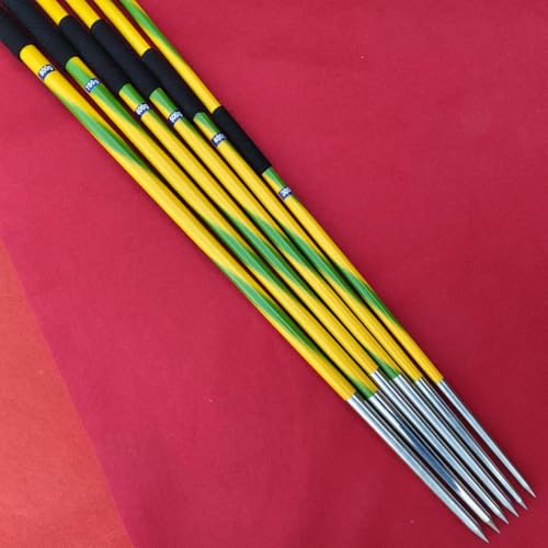 FEIYU Training Javelin 300g for Beginners Throwing,Practice Javelins - Track&Field Javelins Throw (300grams)