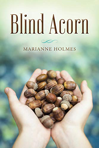 Blind Acorn view 2
