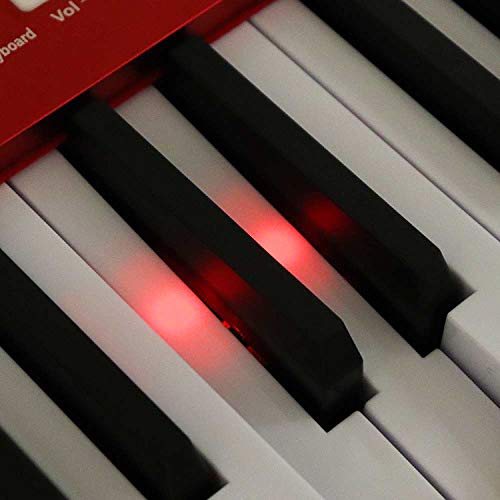 MYRCLMY 88 Clés Portables Organes Électroniques Électriques Piano Vélocités De Clavier Sensibles Au Clavier LED Clés D… - Les Beatles, Paul McCartney, John Lennon, RIngo Starr, George Harrison MYRCLMY 88 Clés Portables Organes Électroniques Électriques Piano Vélocités De Clavier Sensibles Au Clavier LED Clés D… – Image 8