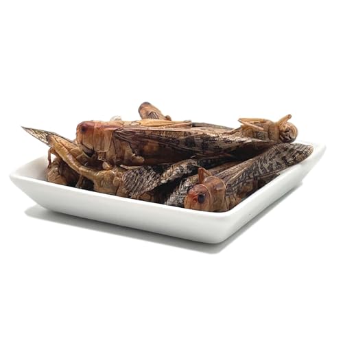 Heuschrecken - essbare Insekten von 'SNACK insects' - 15g feine Speise-Insekten zum Kochen und Essen