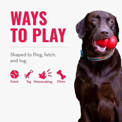 KONG – Shakers Luvs Giraffe – Interaktives Zerr– und Apportierspielzeug – Kleine Hunde