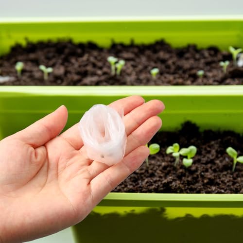 image for Innconee 1